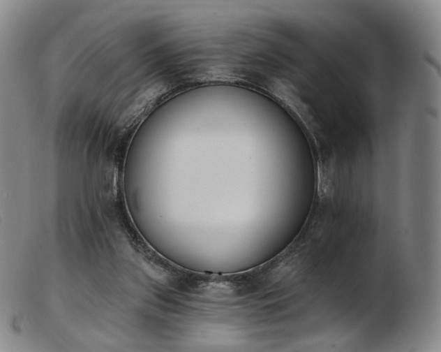 X0000103910157200809191310