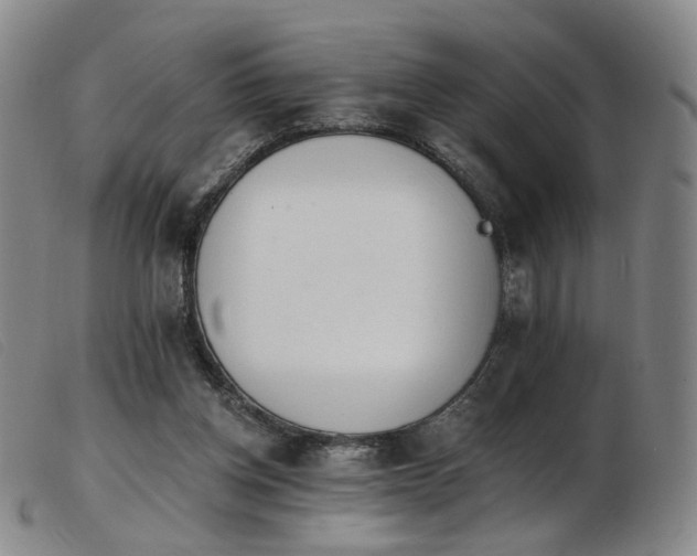 X0000103910158200809191310