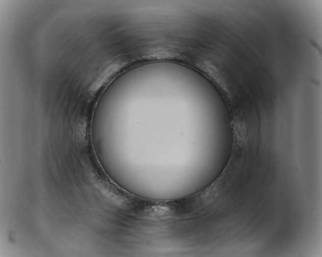 X0000103910159200809191310