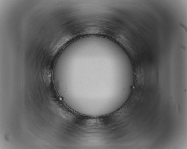 X0000103910160200809191310