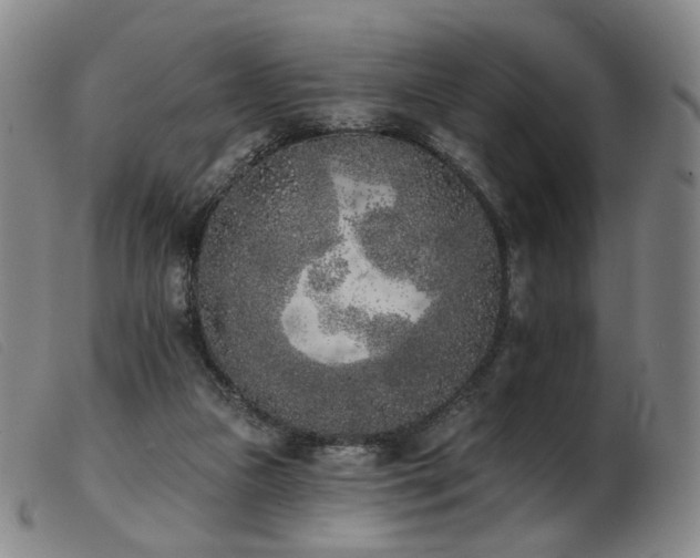 X0000103910161200809191310