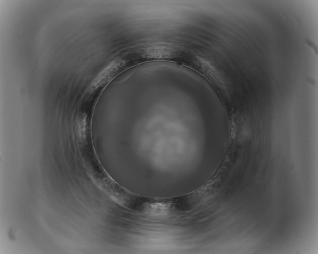 X0000103910163200809191310