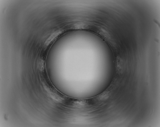 X0000103910164200809191310