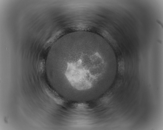 X0000103910165200809191310