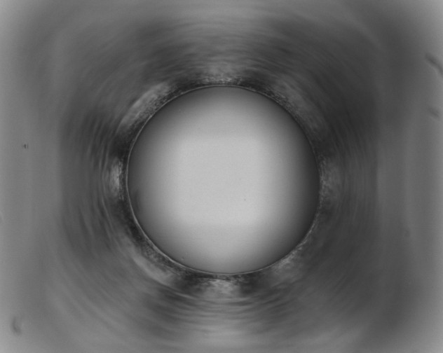 X0000103910166200809191310