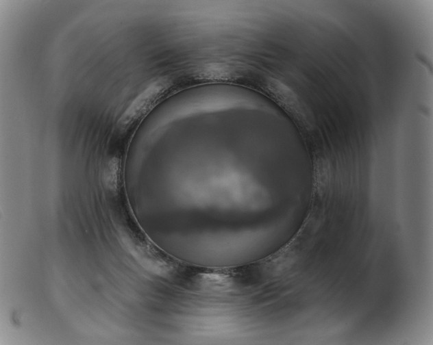X0000103910167200809191310
