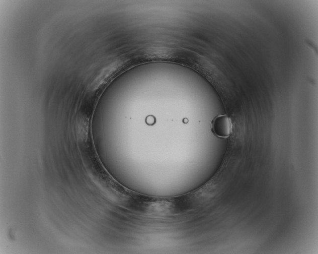 X0000103910168200809191310