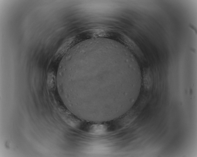 X0000103910169200809191310