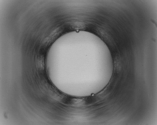 X0000103910170200809191310