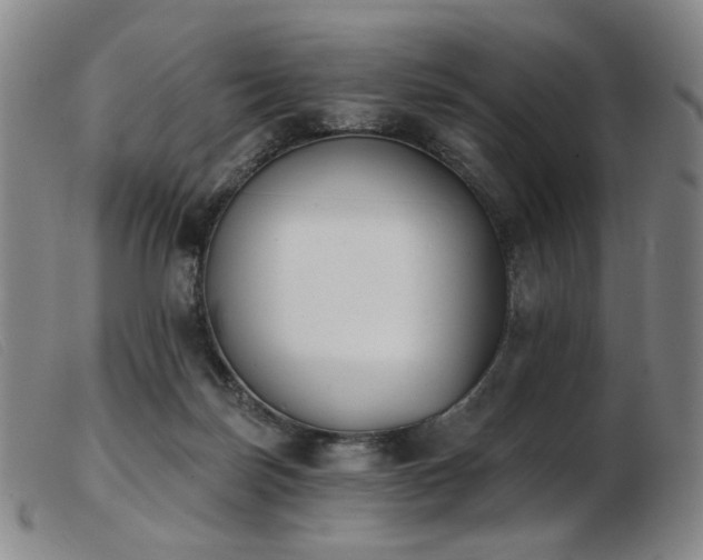 X0000103910171200809191310