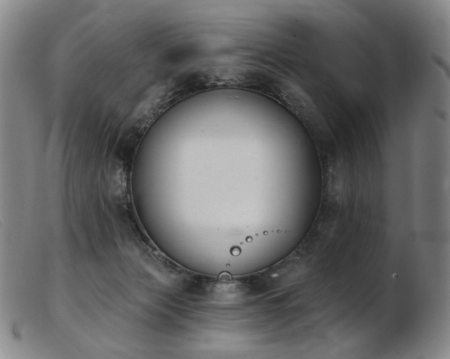 X0000103910173200809191310