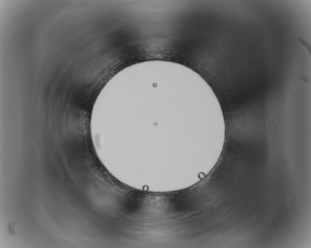X0000103910174200809191310