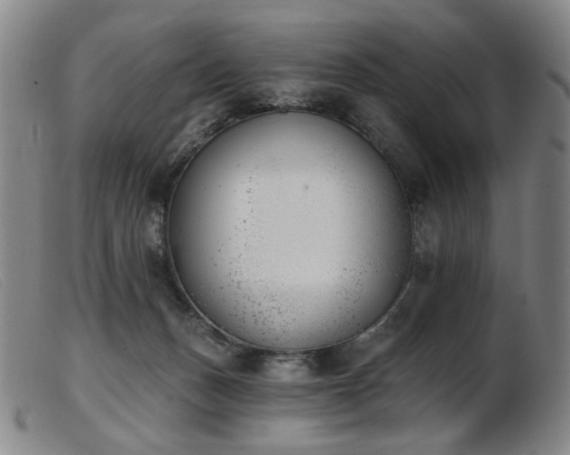 X0000103910175200809191310