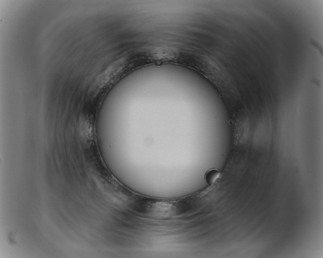 X0000103910176200809191310