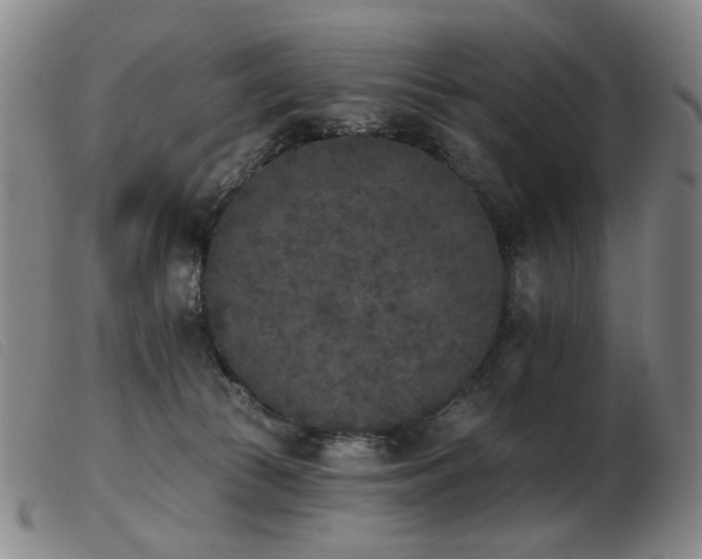 X0000103910177200809191310