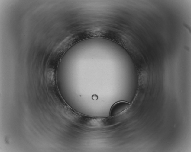 X0000103910178200809191310