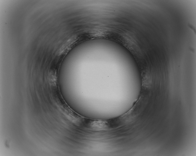 X0000103910179200809191310