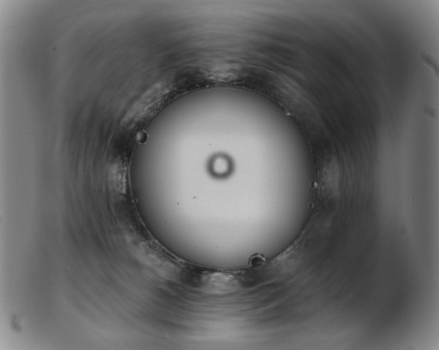 X0000103910180200809191310