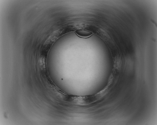 X0000103910182200809191310