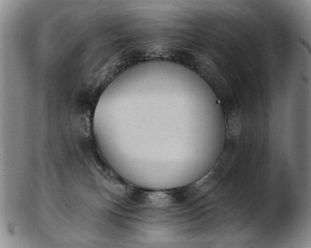 X0000103910183200809191310