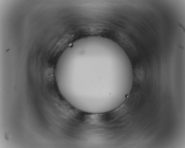 X0000103910184200809191311