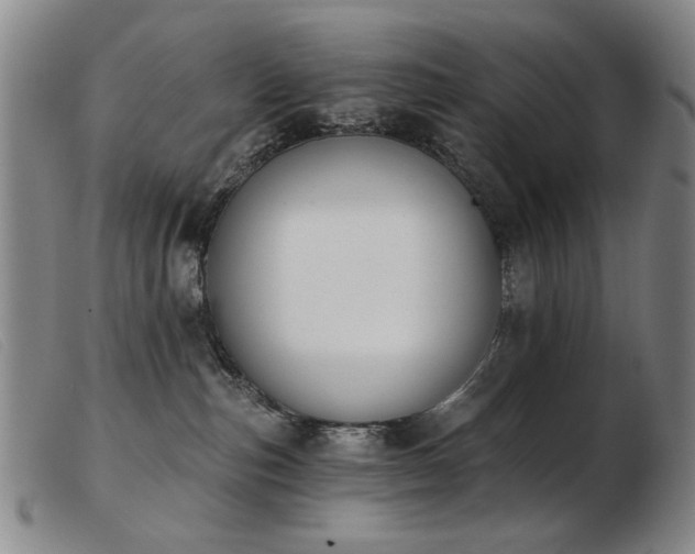X0000103910187200809191311