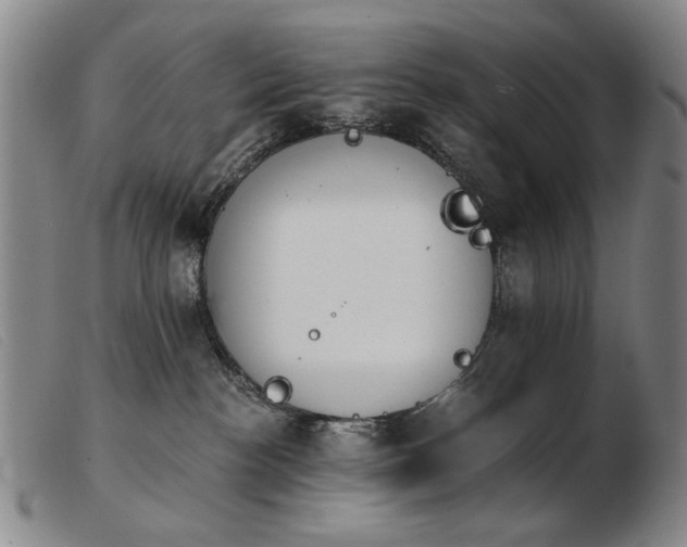 X0000103910188200809191311