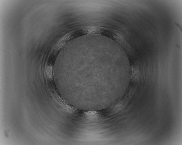 X0000103910189200809191311