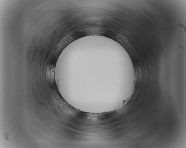 X0000103910190200809191311