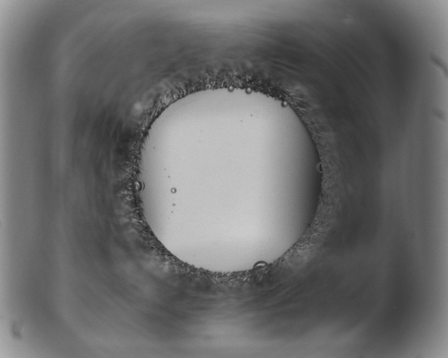 X0000103910192200809191311