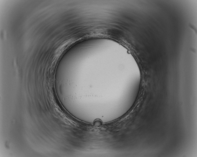 X0000103910193200809191310