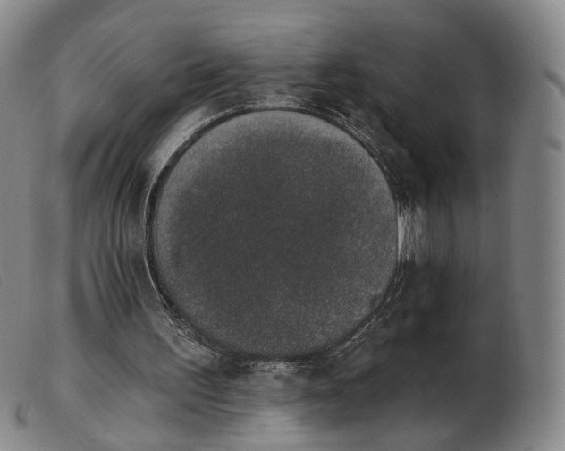 X0000103910195200809191310