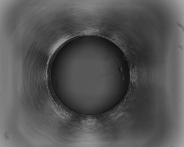 X0000103910196200809191310