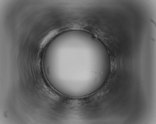X0000103910197200809191310