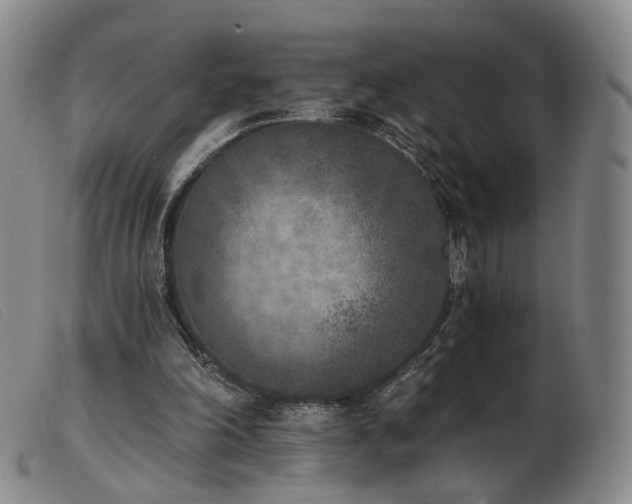 X0000103910198200809191310