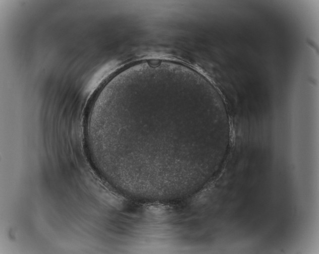 X0000103910199200809191310