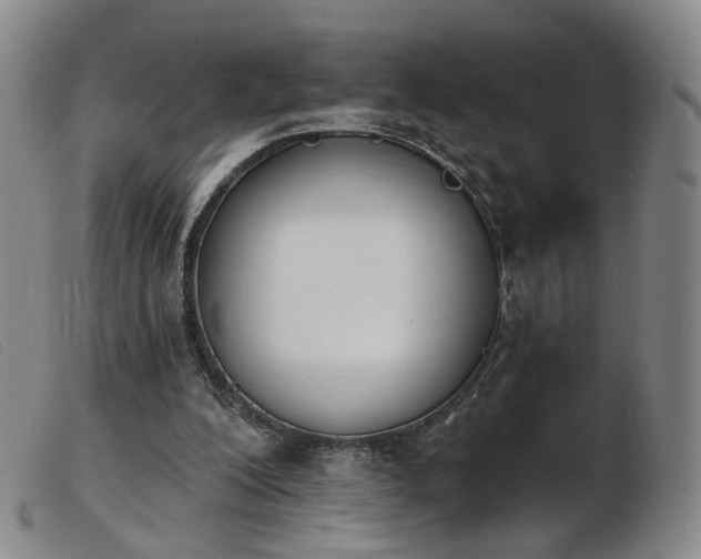 X0000103910200200809191310