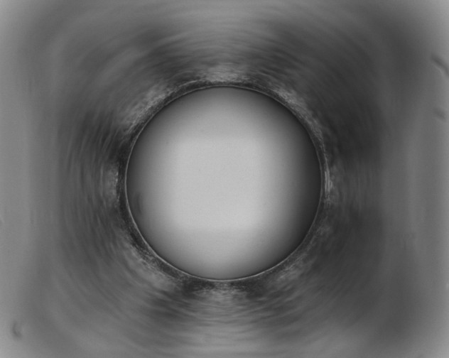 X0000103910201200809191310