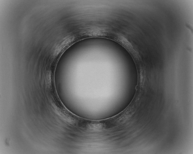 X0000103910202200809191310