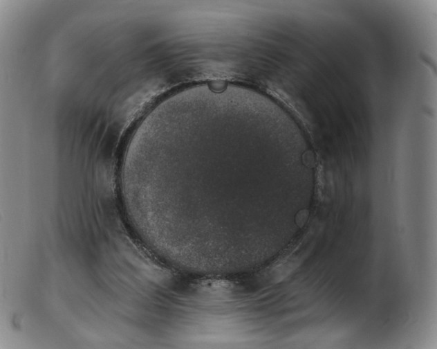 X0000103910203200809191310