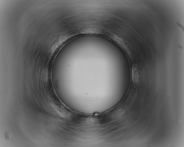 X0000103910204200809191310