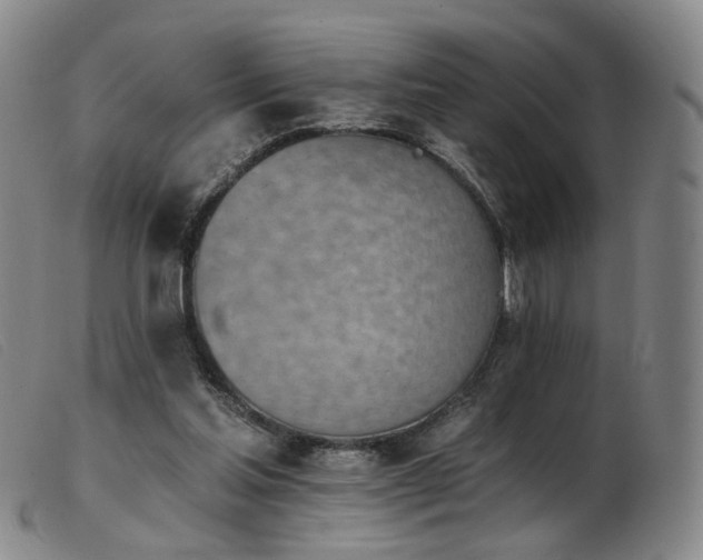 X0000103910205200809191310