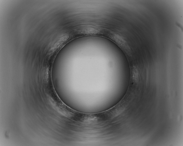 X0000103910206200809191310