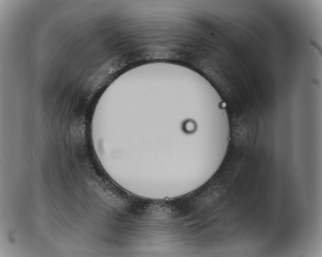 X0000103910207200809191310
