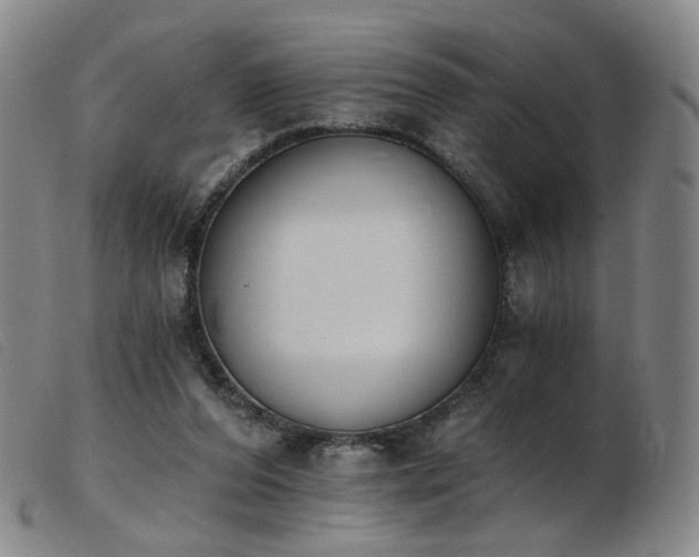 X0000103910208200809191310