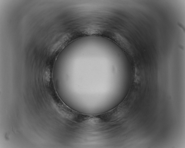 X0000103910210200809191310