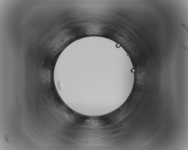X0000103910211200809191310