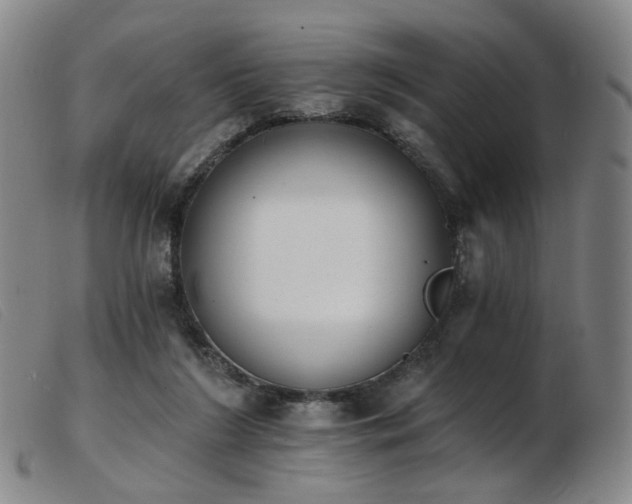 X0000103910212200809191310