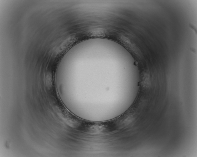 X0000103910213200809191310