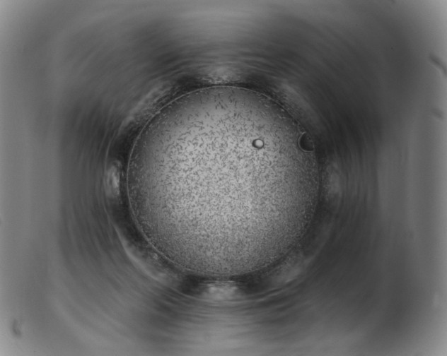 X0000103910214200809191310